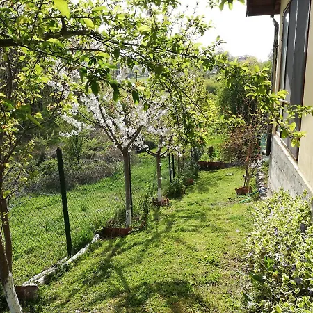 Feriehus Yellow Fani