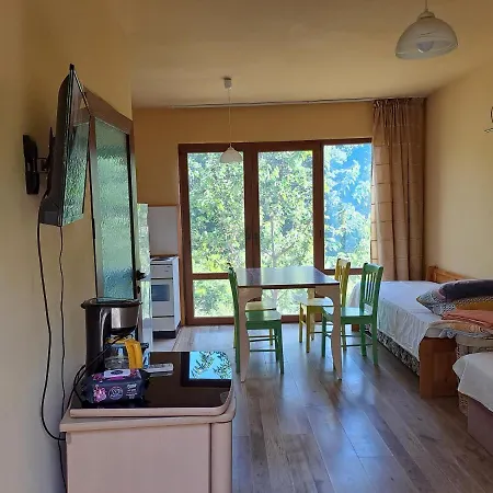 Yellow Fani Sinemoretz