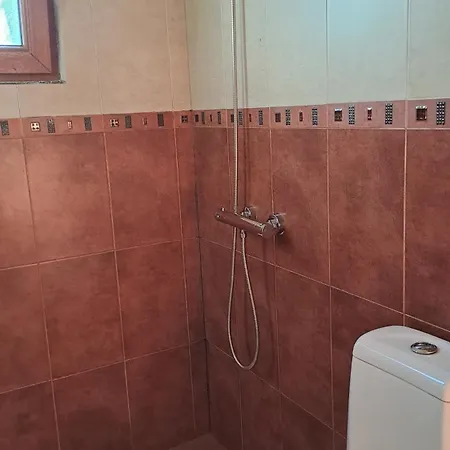 Yellow Fani Sinemoretz