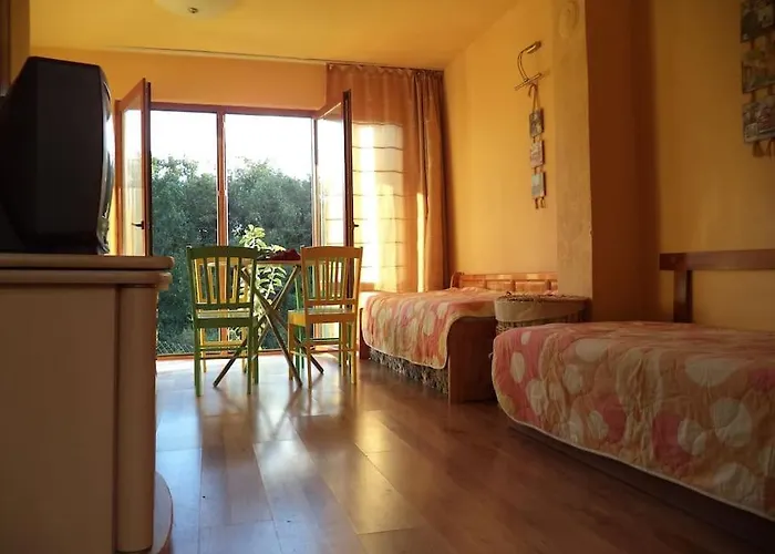 Yellow Fani Sinemoretz