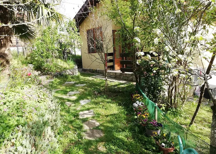 Yellow Fani Сasa de vacaciones Sinemoretz