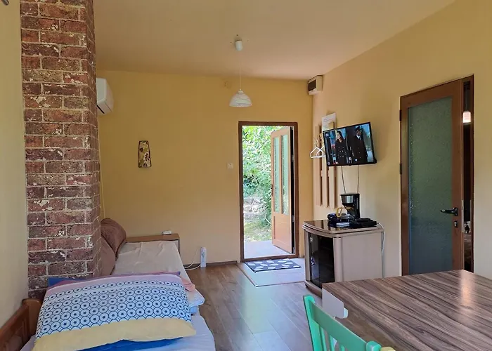 Yellow Fani Sinemoretz