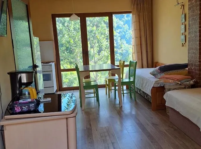 Yellow Fani Сasa de vacaciones Sinemoretz