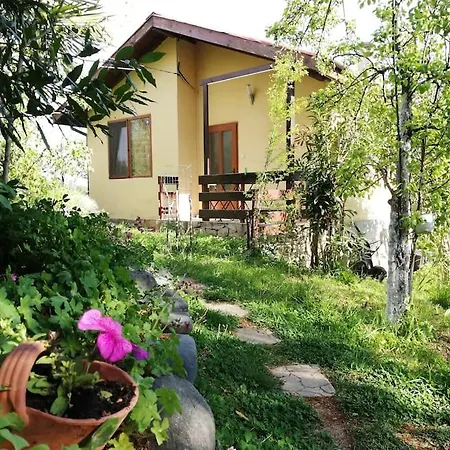 펜션 Yellow Fani 시네모레츠