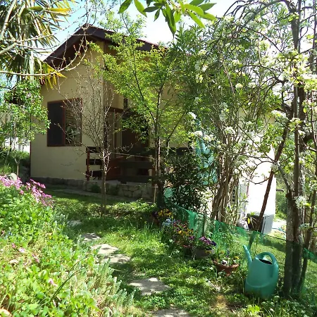Yellow Tatil Evi Sinemoretz