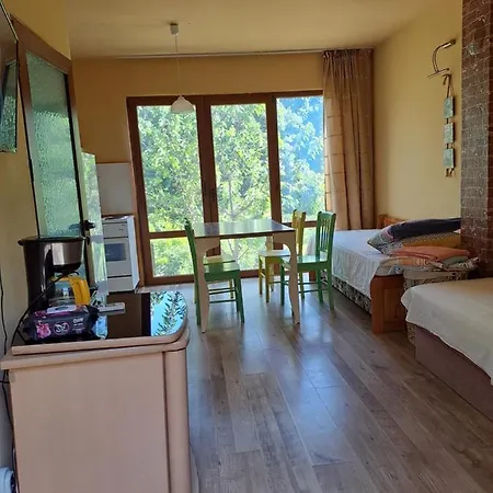 Yellow Fani 펜션 시네모레츠