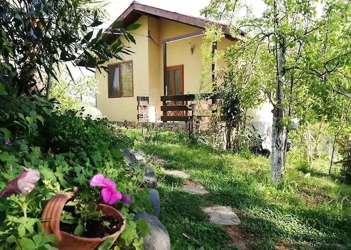 Hébergement de vacances Yellow Fani Sinemoretz