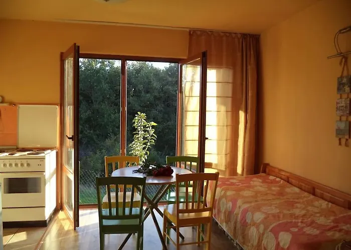 Hébergement de vacances Yellow Fani *