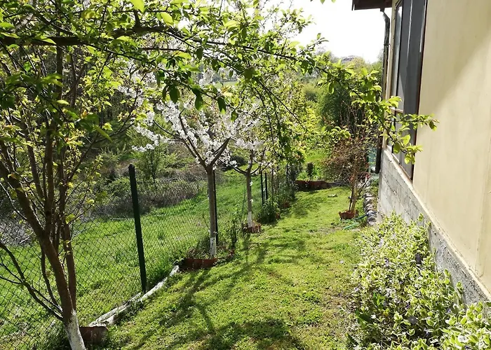 Hébergement de vacances Yellow Fani