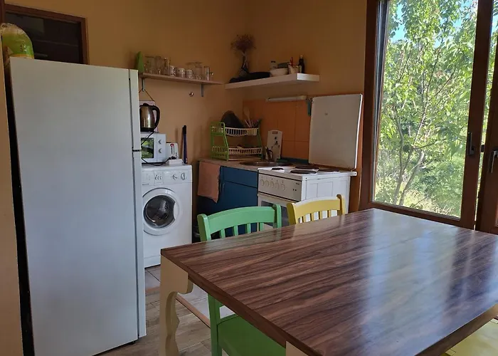 Yellow Fani Sinemoretz