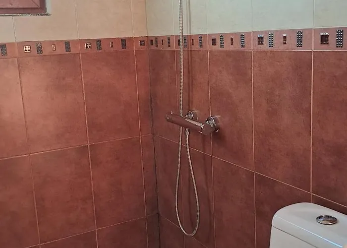 Yellow Fani Sinemoretz